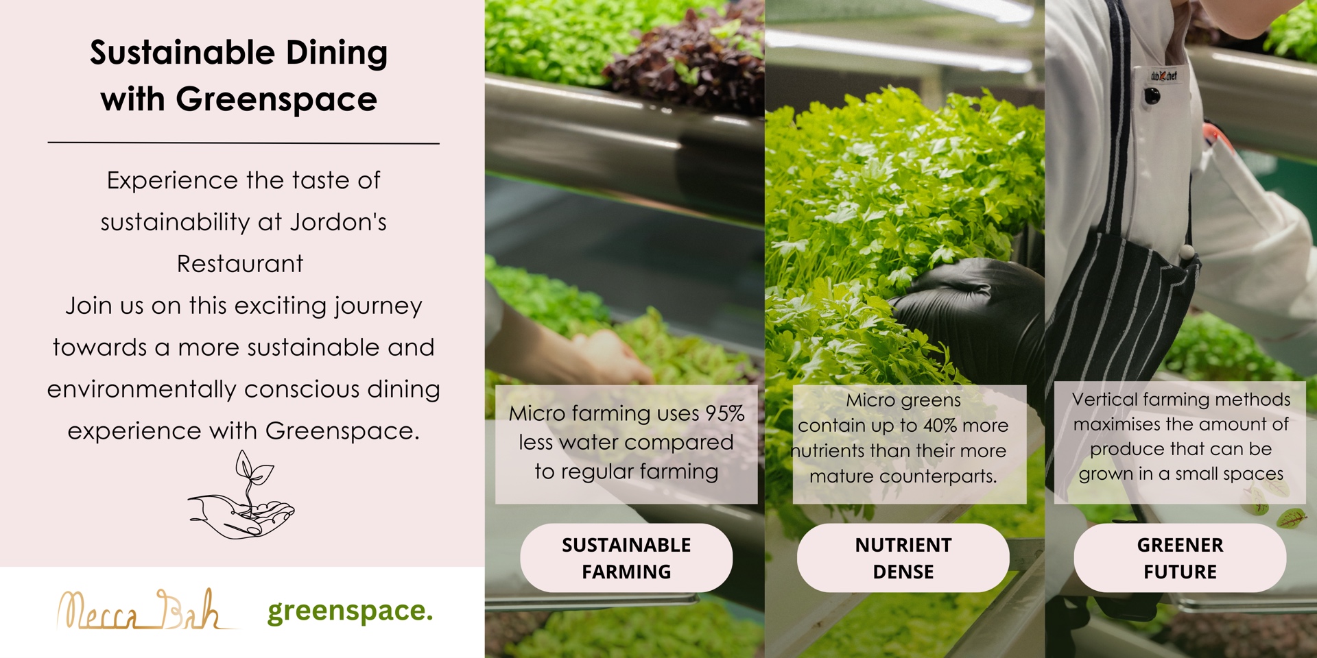 Embracing Sustainable Dining with Greenspace Vertical Garden